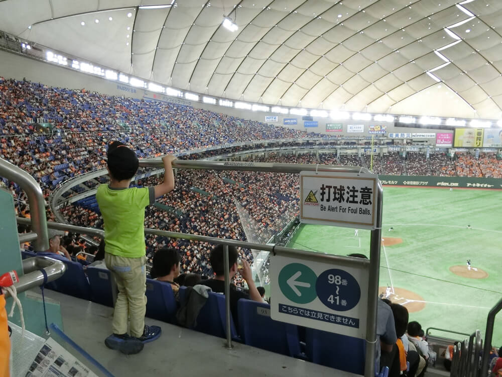 野球観戦